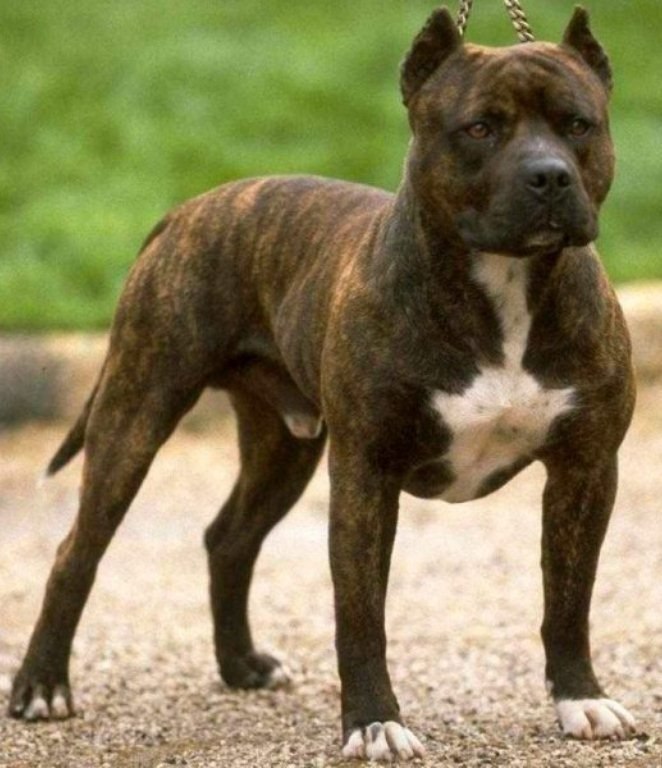 Дмитрий Мызников | Екатеринбург