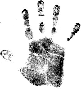 Макс Назаров Marginal | Ярославль