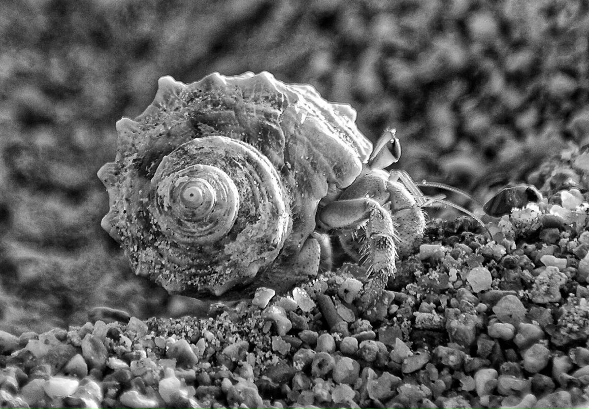 Ольга Зуева | Петрозаводск