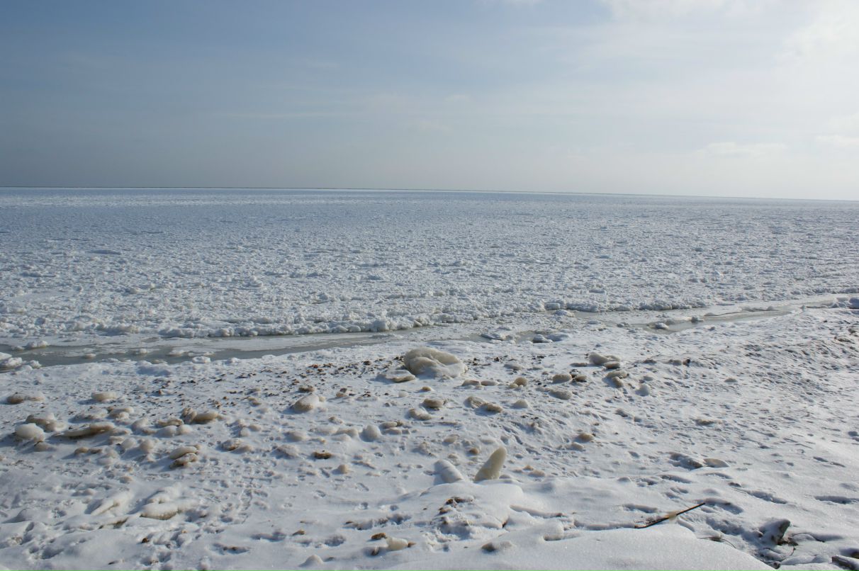 Дима Сёмочкин Сёма | Одесса