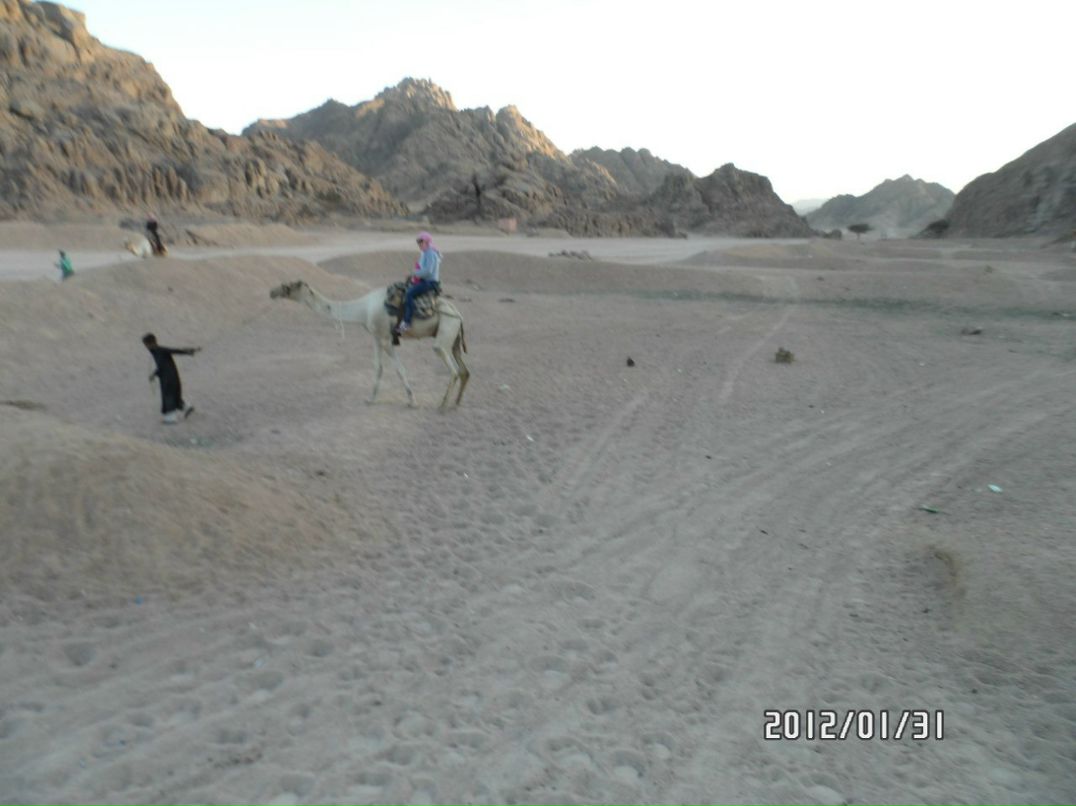 Юра Гемелюк | Киев