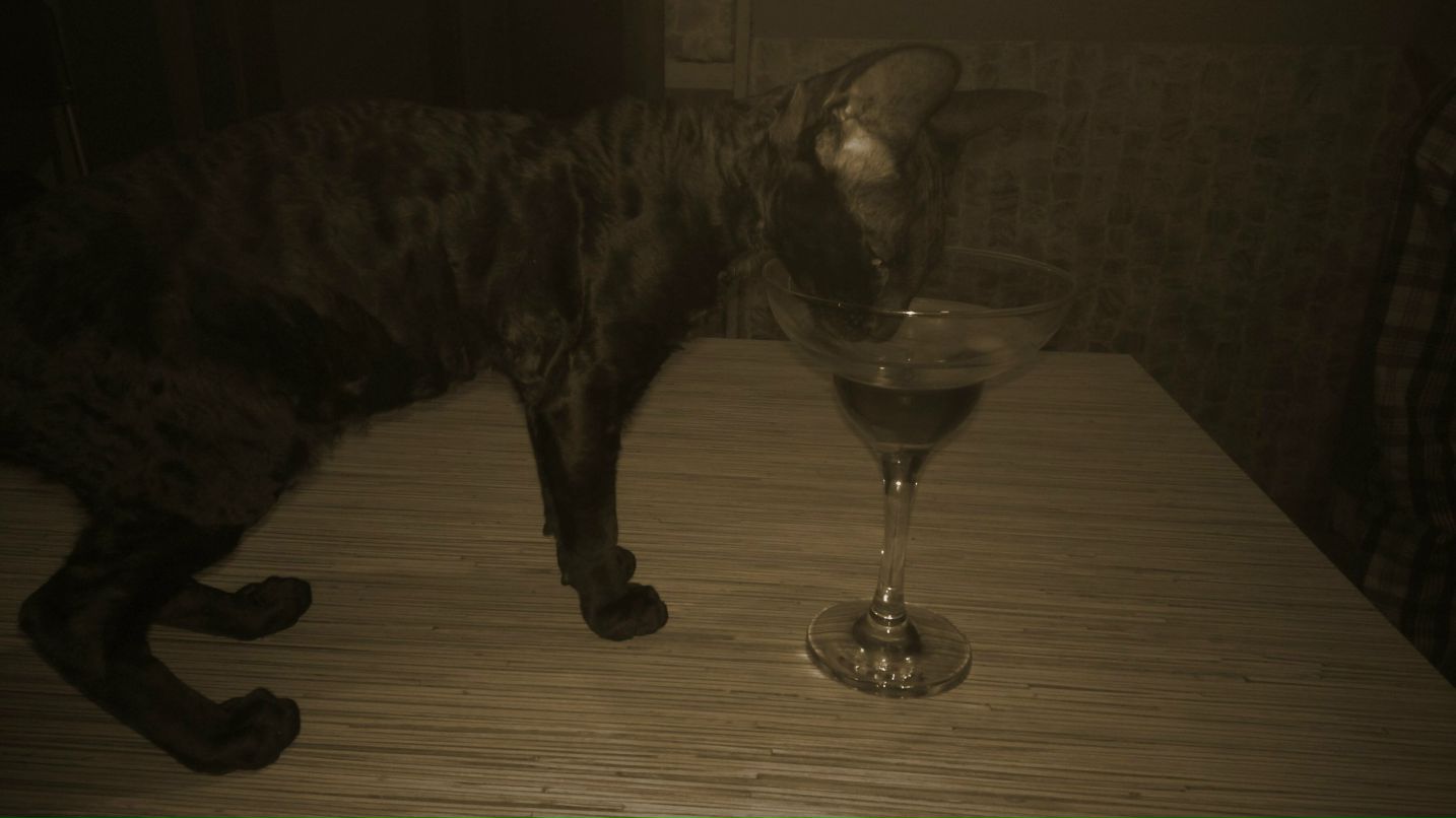 Инна Тусова | Москва