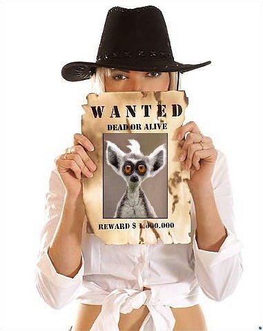 Сергей Филипович SayAkto | Москва