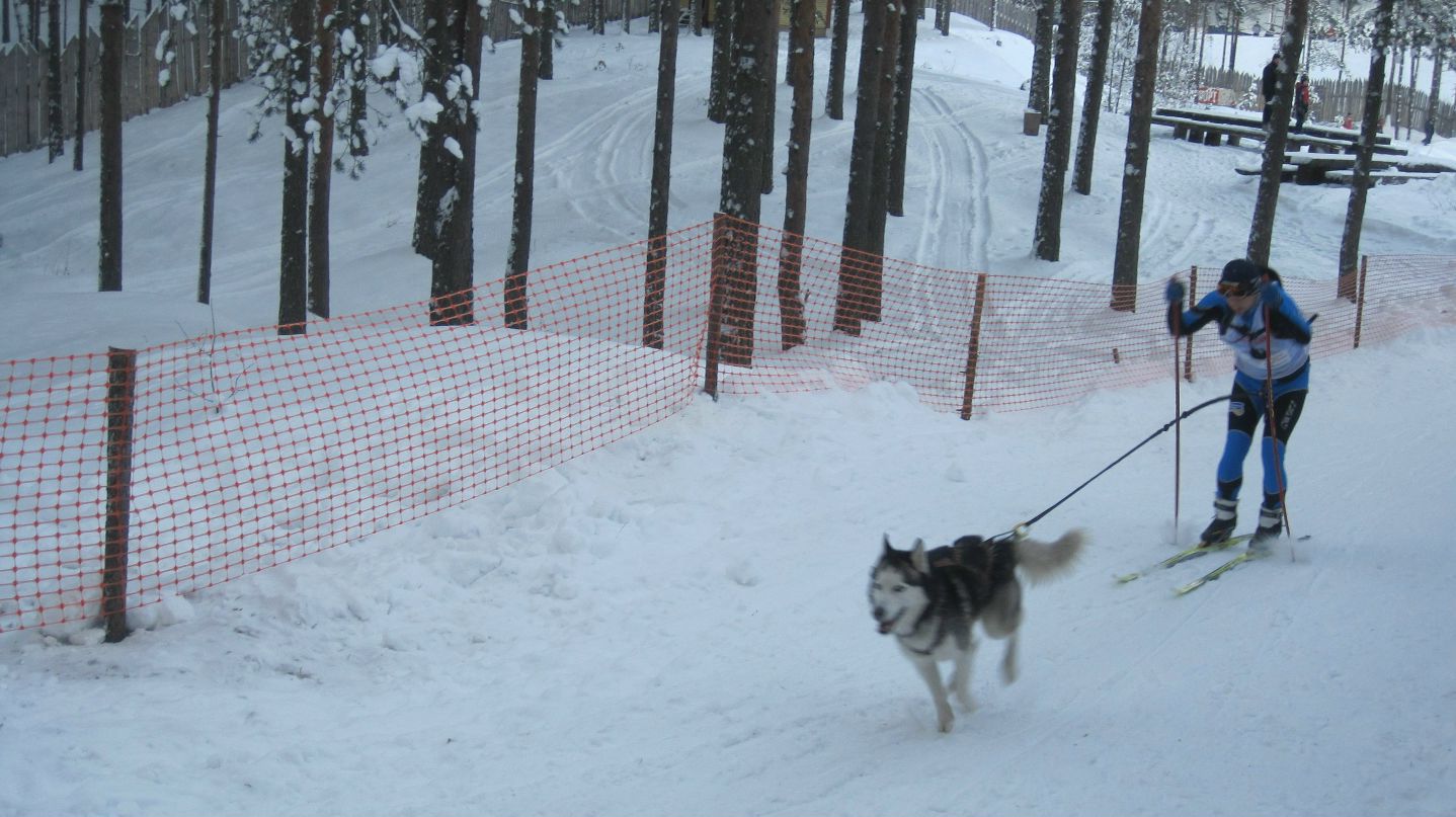 Женя Форсюк-Самохина ג'ניה | Мурманск