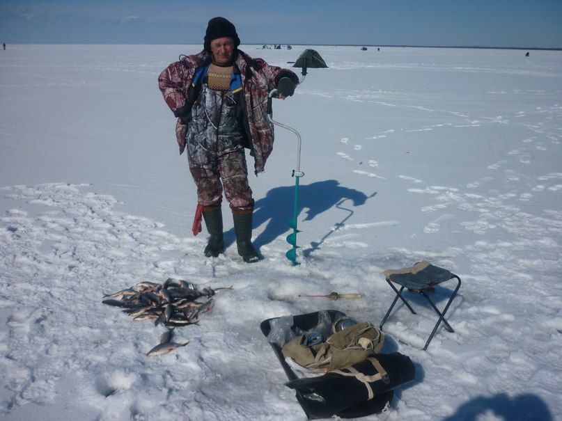 Юрий Пайвин | 