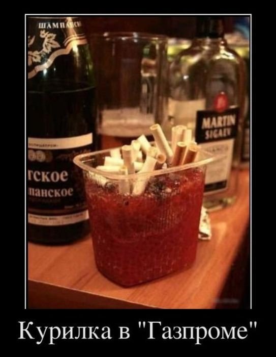 Никита Шавергин | Калуга