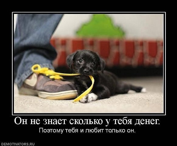 Виталий Морозов | Екатеринбург