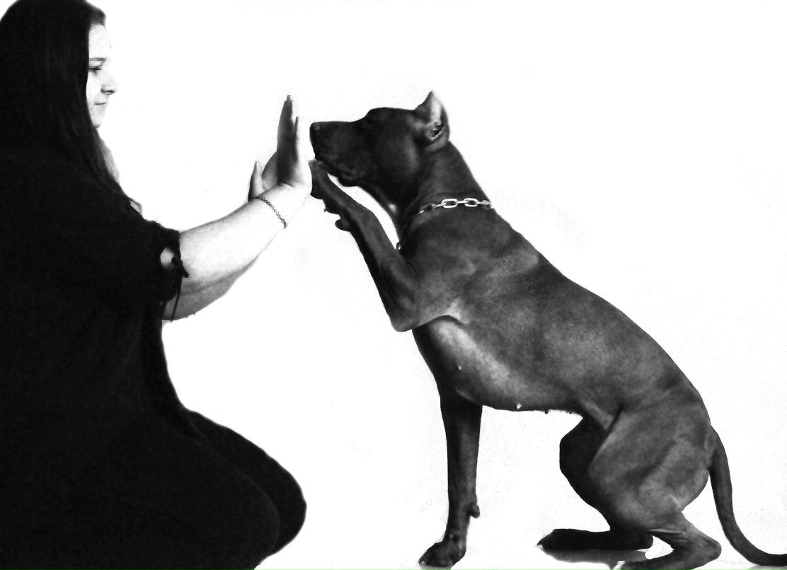 Anyta Lagutkina | Санкт-Петербург