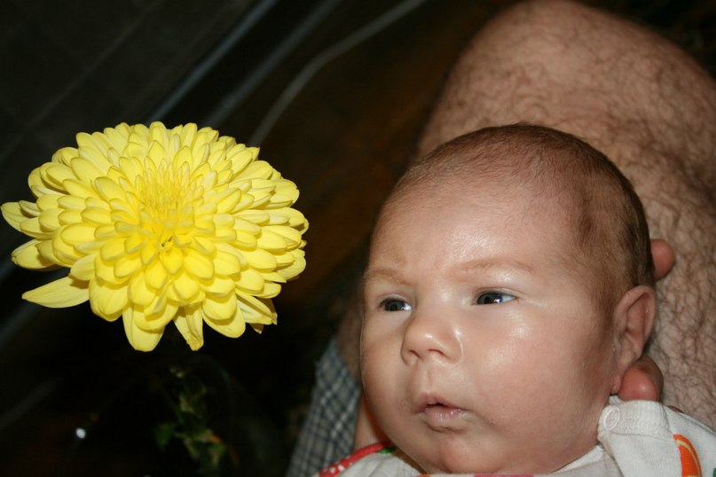 Александр Фомичёв | Москва