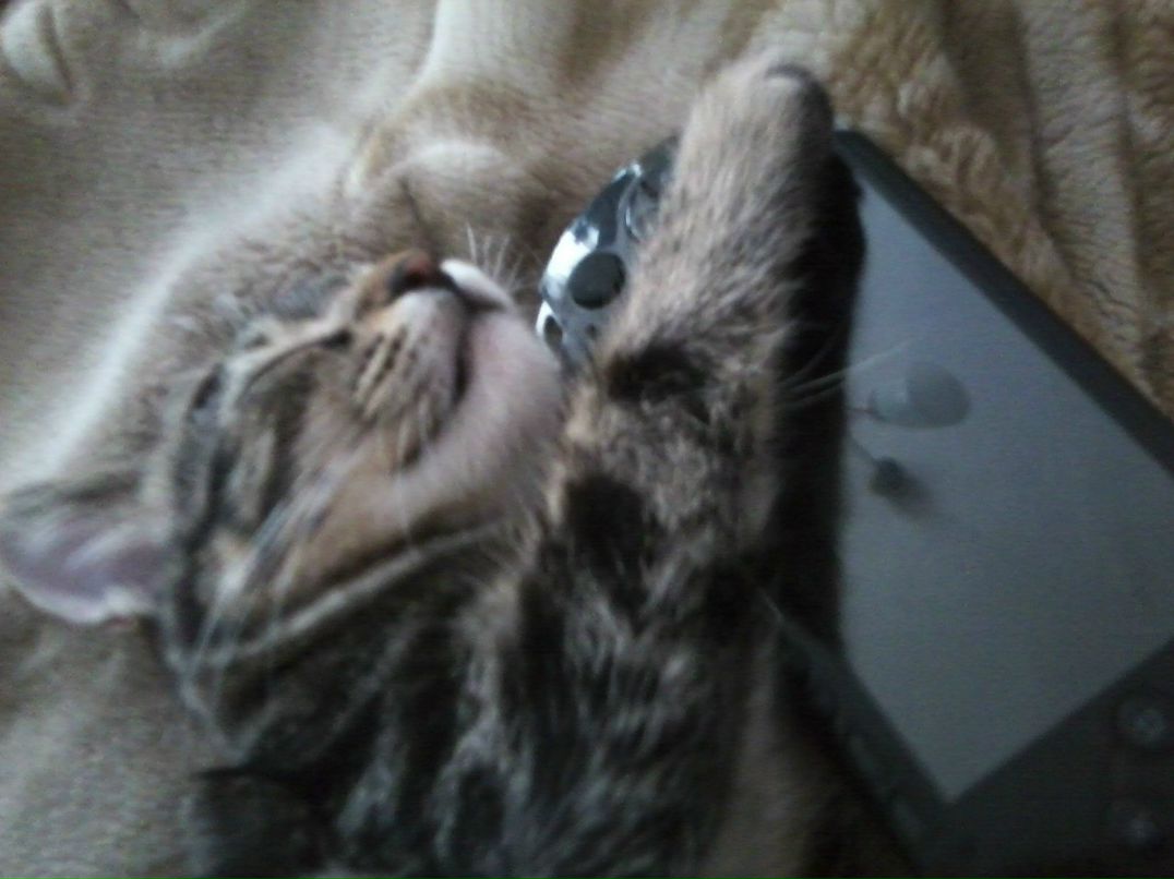 Ольга Гречишникова | Ростов-на-Дону