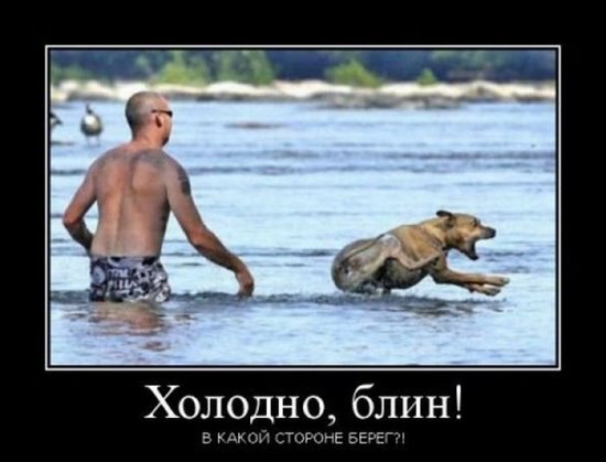 Максим Вітковський | Киев