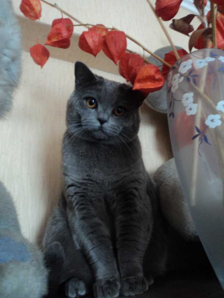 Катя Барашкова | Москва