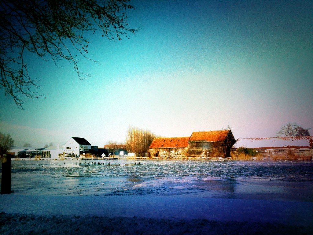 Dasha Torgushnikova | Москва