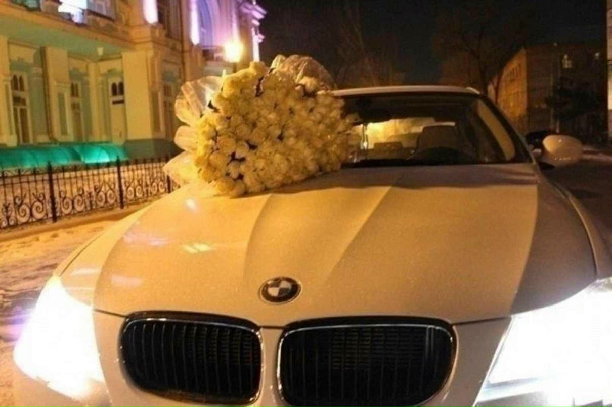 Olga Kremer | Strasbourg