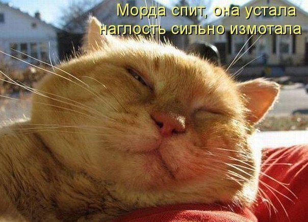 Алексей Ванторин | Санкт-Петербург