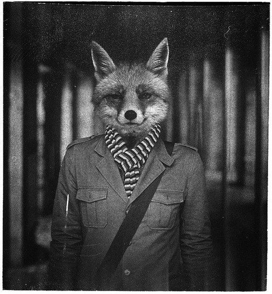 Юлия Ковалёва | Москва