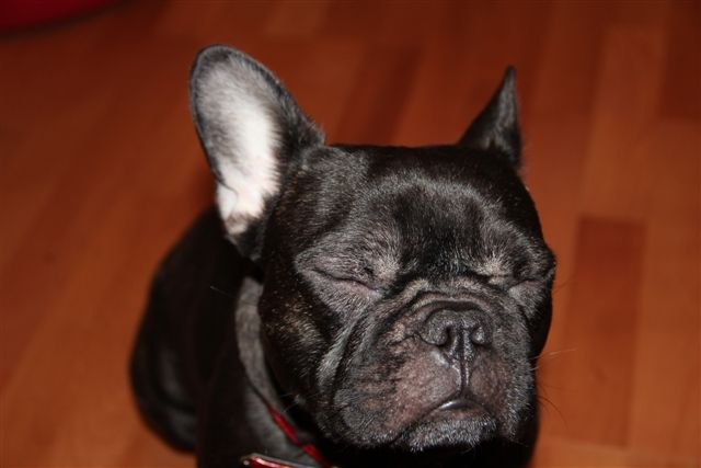 Алёна Боброва | 