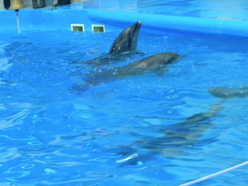 Наталья Коваленко | Kraków