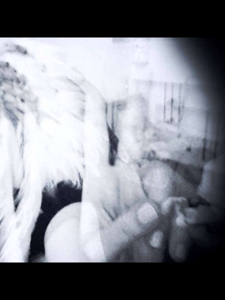 Алиса Орешкина | Санкт-Петербург