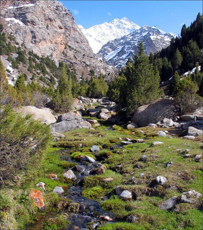 Speranza Hope | Домодедово