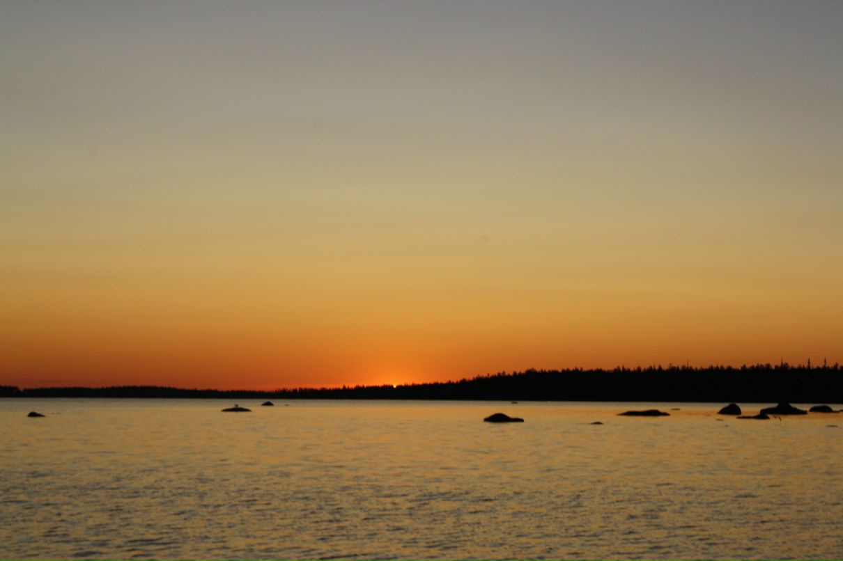 Кузен Безбудкина | 