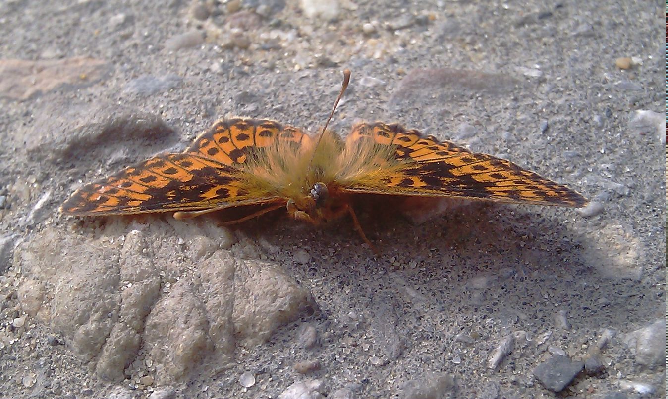 Игорь Козонков | Нарьян-Мар