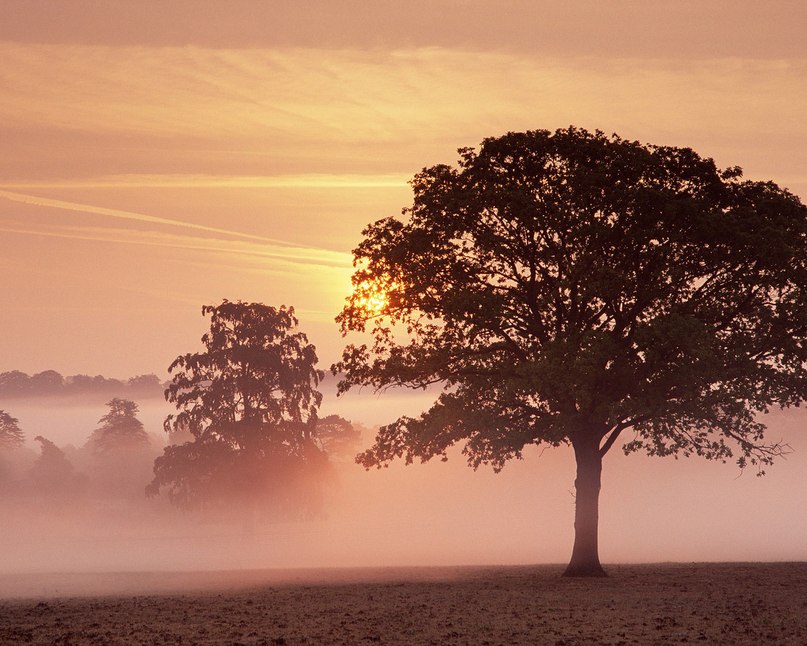 Мария Пименова | Москва