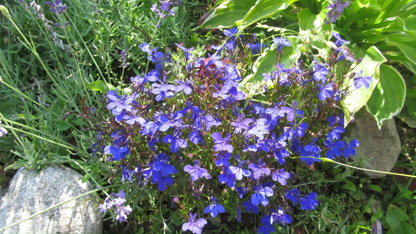 Дина Большакова | Berlin