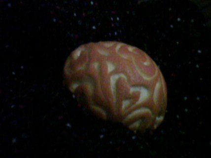 Елена Гончарова Валерьевна | Анапа