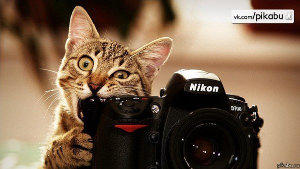 Наталия Табрисова | Новосибирск