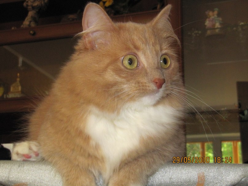 Мария Чагадар | Санкт-Петербург