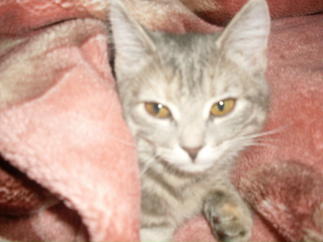 Кристина Морозова | 