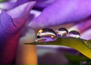 Фотография Нина Кивитар