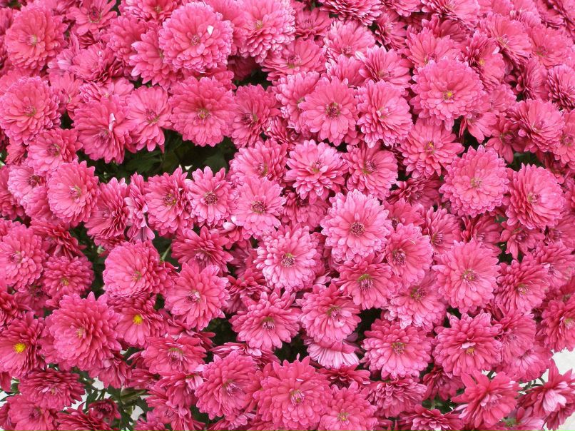 Анна Словеснова | Херсон