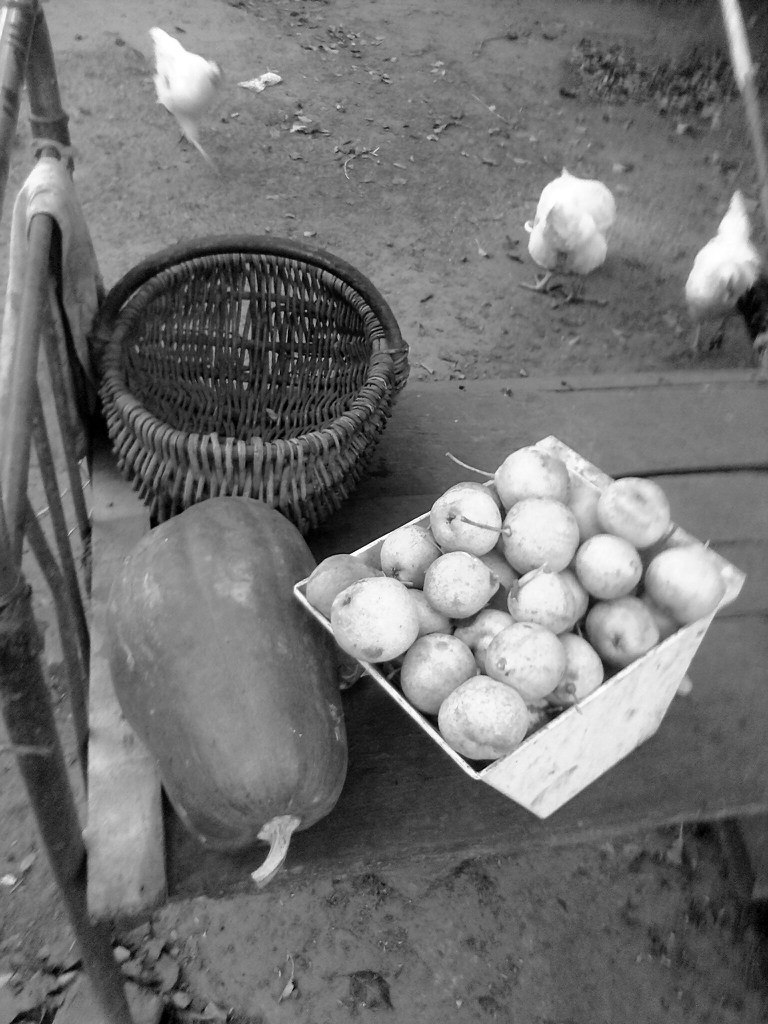 Ксения Нагорная | Чернигов