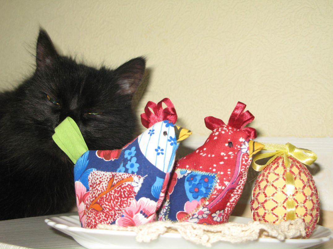 Татьяна Мирошниченко | Санкт-Петербург