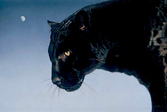 Евгений Бондаренко Dzirt Do'Urden | Ступино