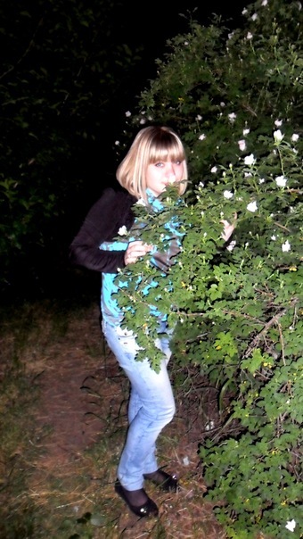 №7, Дина Солминова №7, Дина Солминова