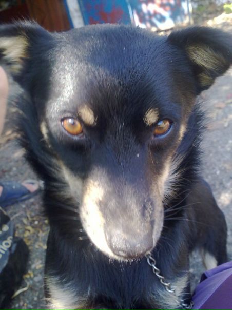 №13, Владимир Яворский, 40 лет, Знаменка №13, Владимир Яворский, 40 лет, Знаменка