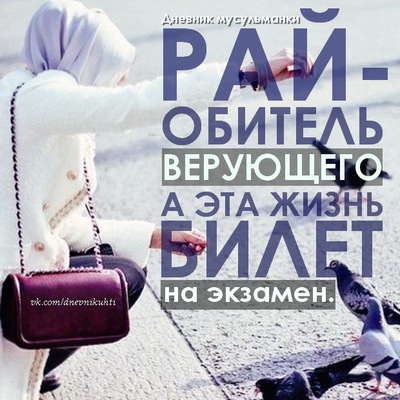 Дневник мусульманки картинка с надписью