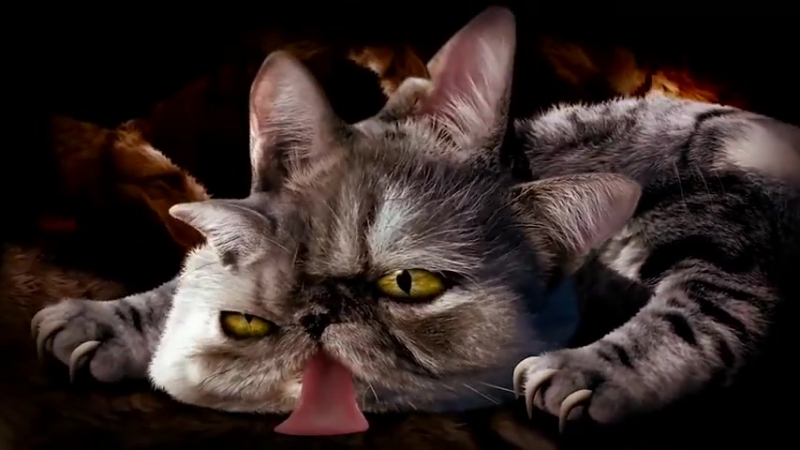 Run The Jewels Meowpurrdy feat. Lil Bub, Maceo,
