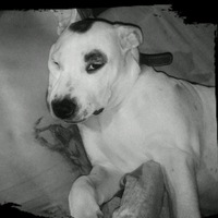 Владислав Викторович