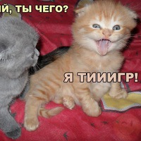 Денис Филиппов