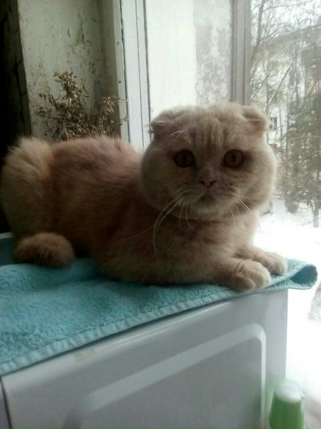 Мария Колычева, Россия, Москва