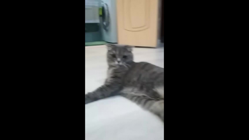 я один с сестрой мама