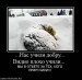 Сос Кокаев фотография #18 (источник - https://vk.com/id29344033)
