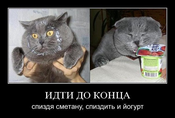 №31, Антон Третьяков, 25.7 №31, Антон Третьяков, 25.7