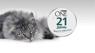 Узнайте больше о программе PURINA ONE