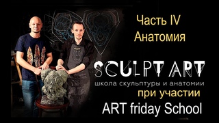 Часть 4 Анатомия