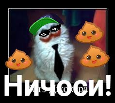 Егор Николаев, Россия, Самара